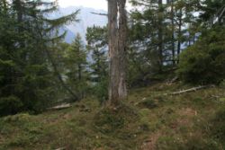 2011-04-24_Regina-F-Rau_Brunnstein-Spitze (051).JPG